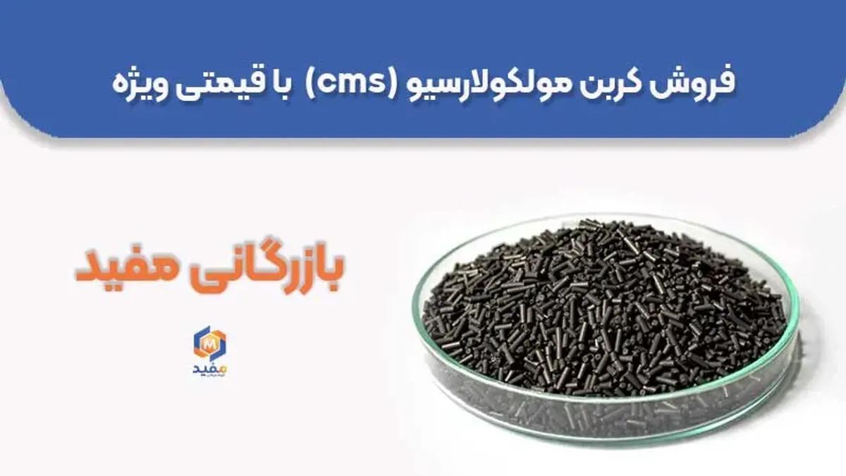 فروش کربن مولکولارسیو (cms)  با قیمتی ویژه