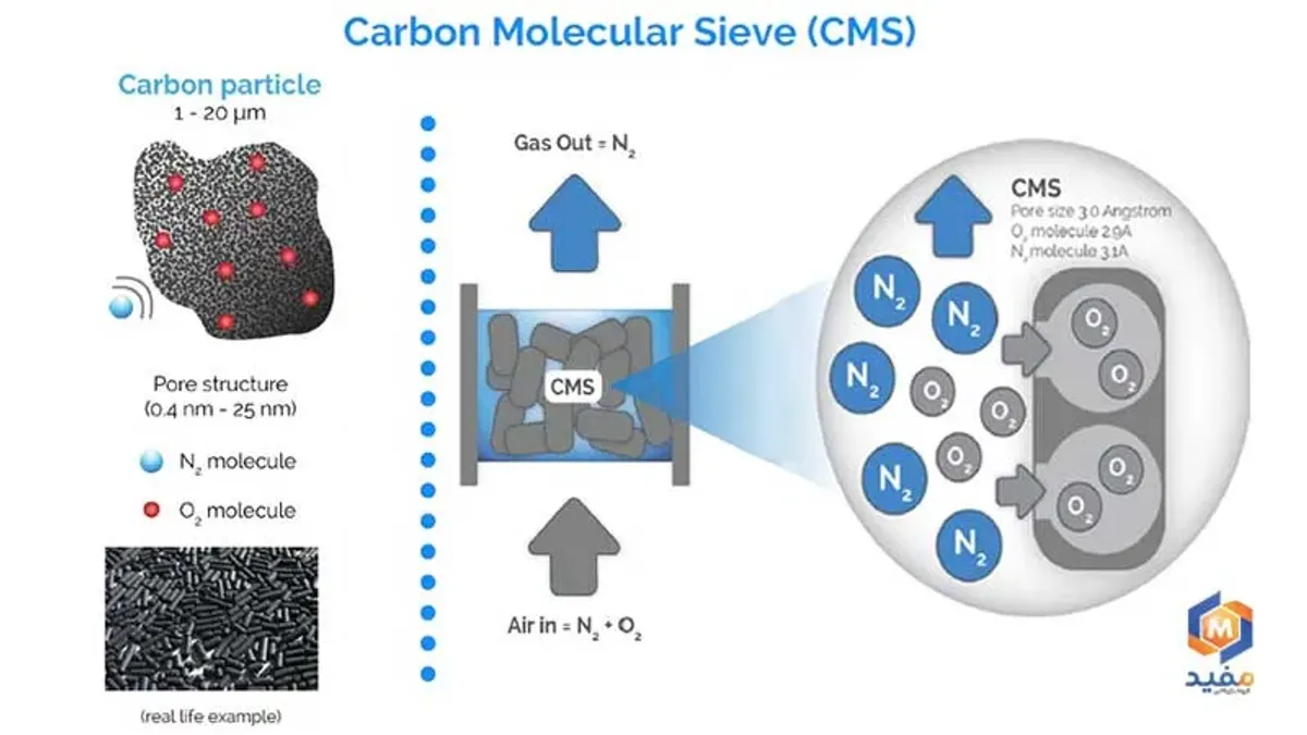 carbon molecular sieve (cms)